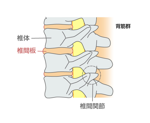 下半身の痛み シミズクリニック